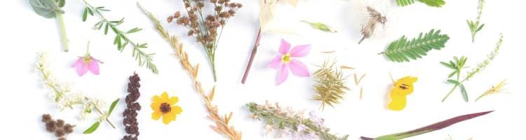 ことり電話に相談をしたお客様の声