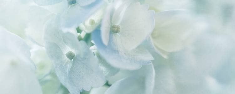 のびのびと話せる場を作ります。