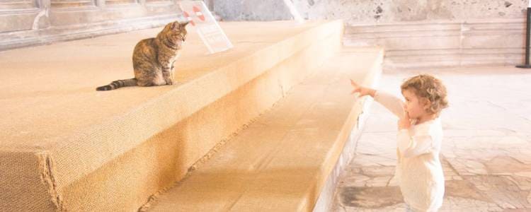 愚痴りたくなるのはなぜ？愚痴を吐き出すメリットは？